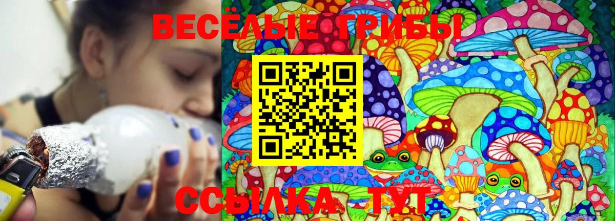 Салехард  Галлюциногенные грибы прущие грибы  Вход с VPN 