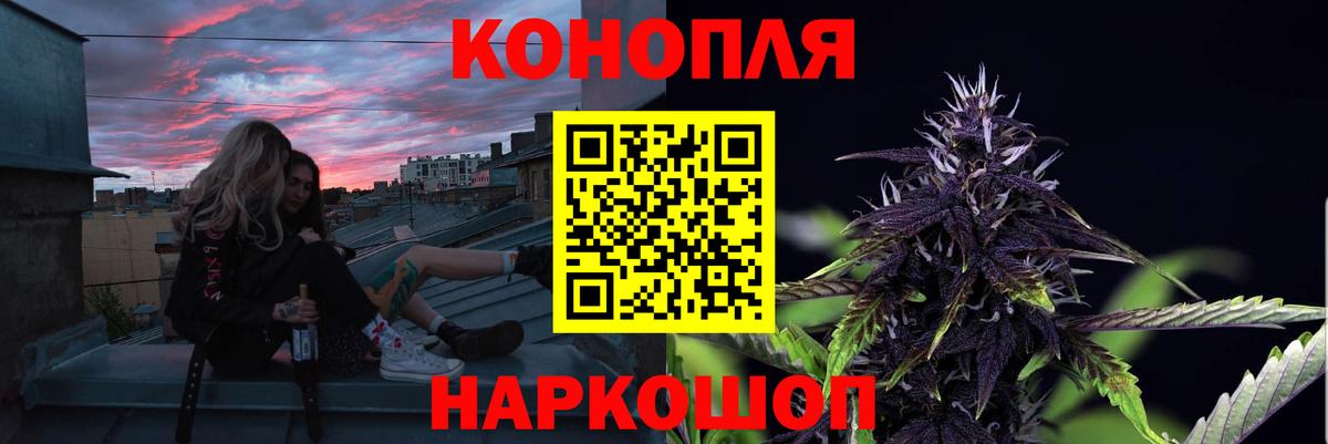 Бошки марихуана сатива  Вход с VPN  Бошки марихуана ГИДРОПОН  Бошки Шишки SATIVA & INDICA  Салехард 